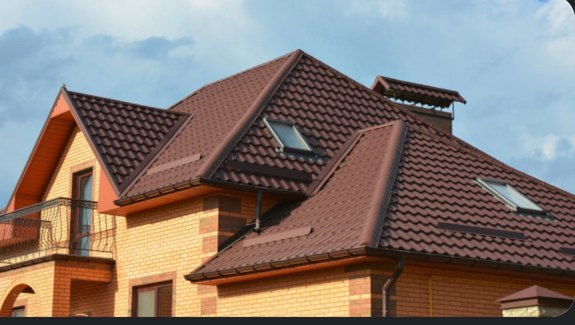 Limpieza de Techos y Canaletas